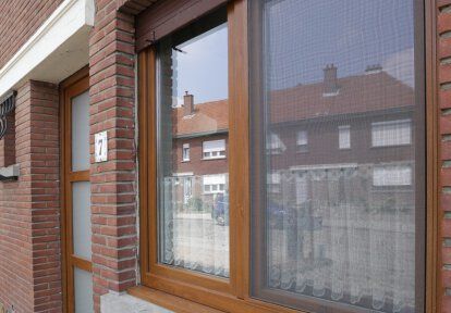 rodzaje moskitier na okna